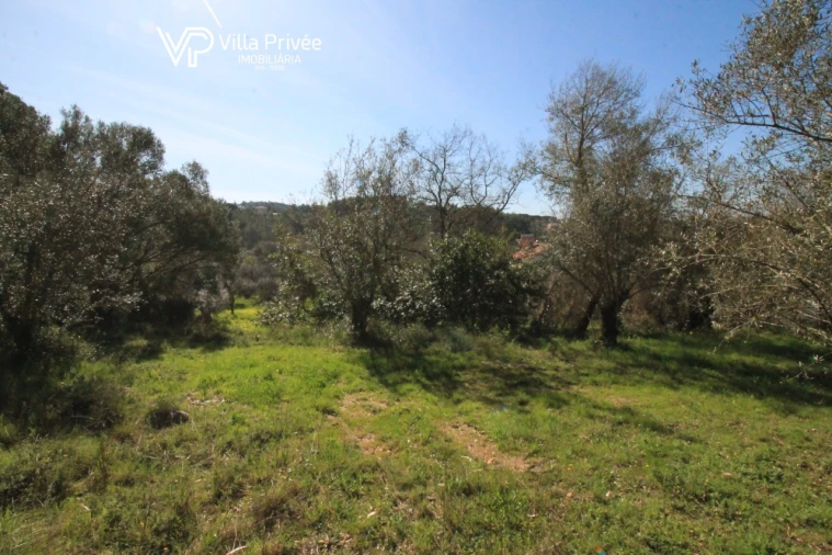 Terreno para Venda em Condeixa-A-Velha e Condeixa-A-Nova Foto 7