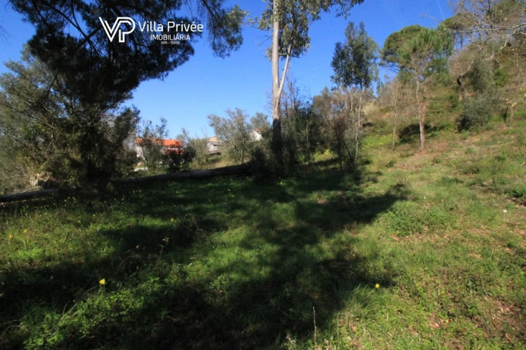 Terreno para Venda em Condeixa-A-Velha e Condeixa-A-Nova Foto 11