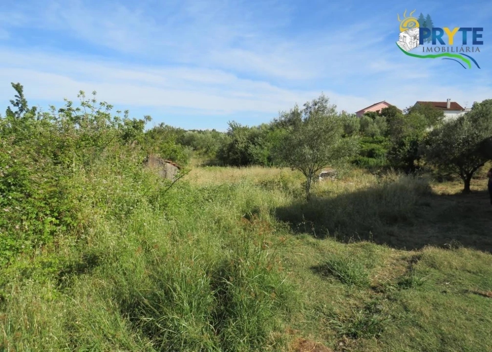 Terreno para Venda em Aguas Belas Foto 3