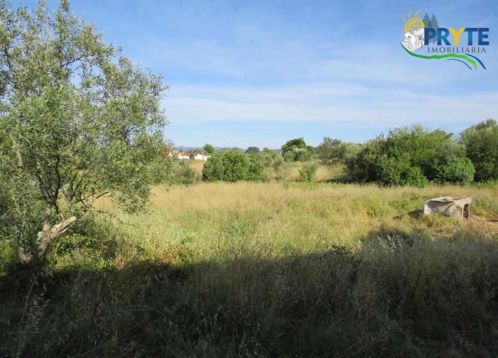 Terreno para Venda em Aguas Belas Foto 10