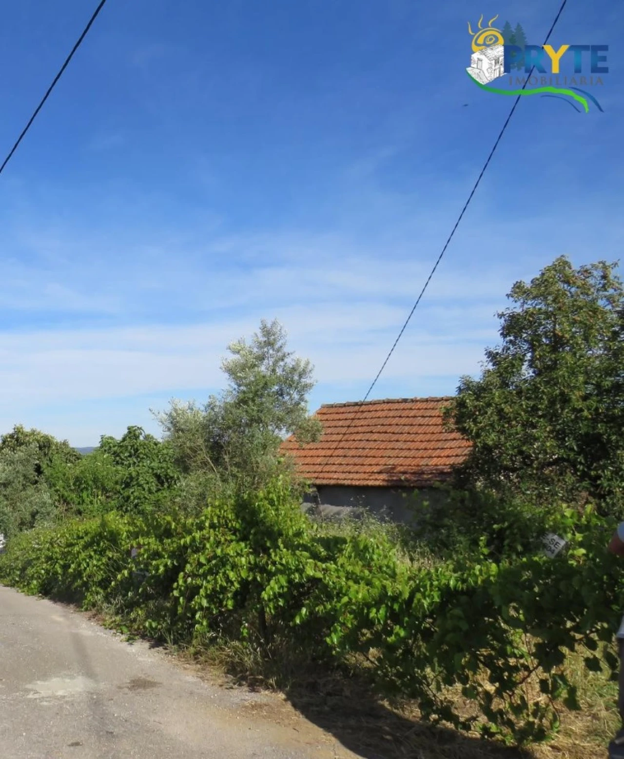 Terreno para Venda em Aguas Belas Foto 11