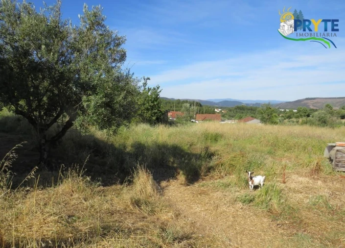 Terreno para Venda em Aguas Belas Foto 7