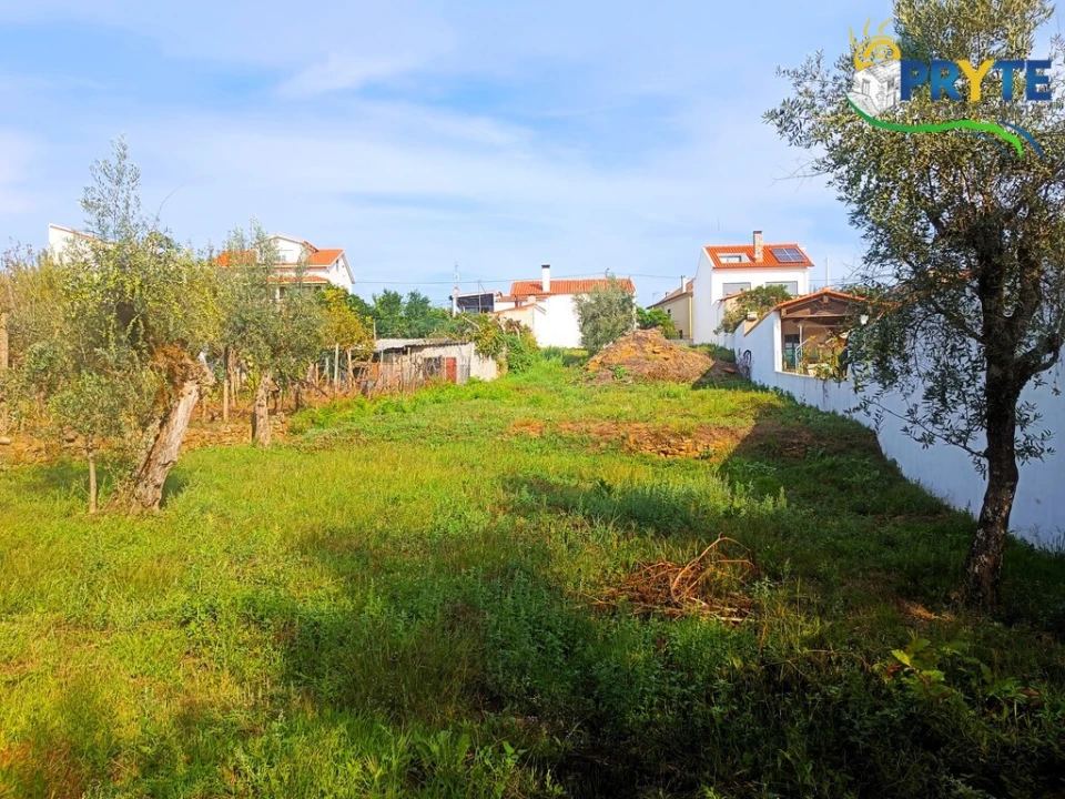 Terreno para Venda em Sertã Foto 6