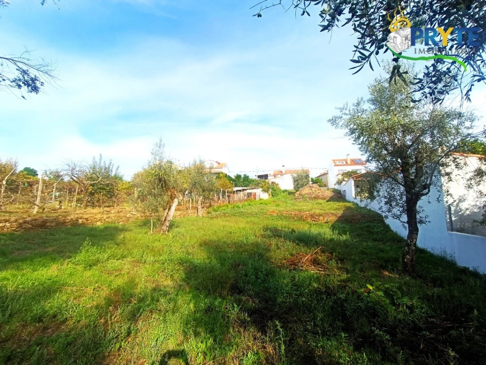 Terreno para Venda em Sertã Foto 7