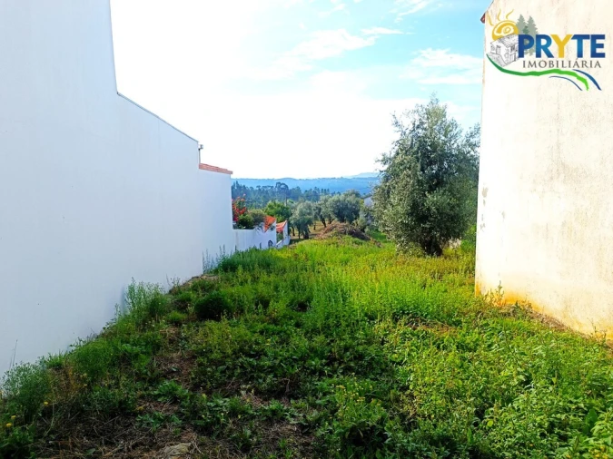 Terreno para Venda em Sertã Foto 4