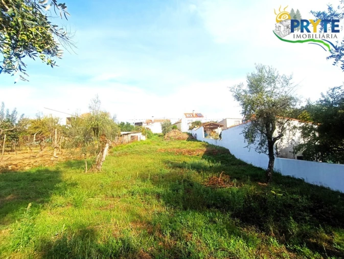 Terreno para Venda em Sertã Foto 8