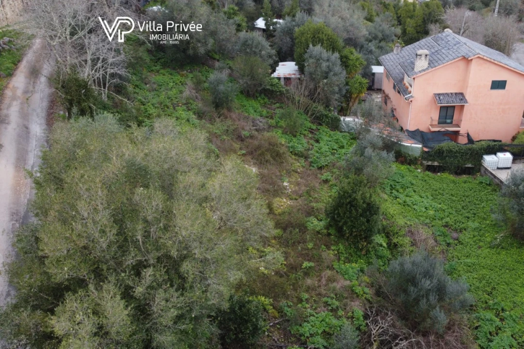 Terreno para Venda em Condeixa-A-Velha e Condeixa-A-Nova Foto 3