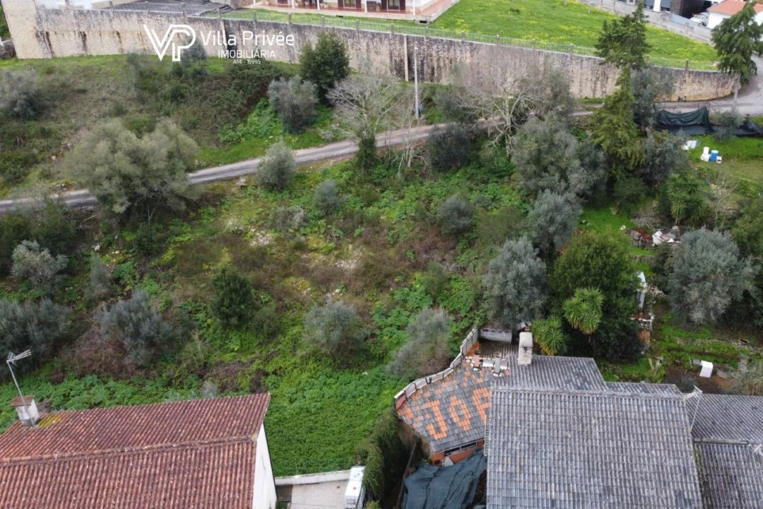 Terreno para Venda em Condeixa-A-Velha e Condeixa-A-Nova Foto 7