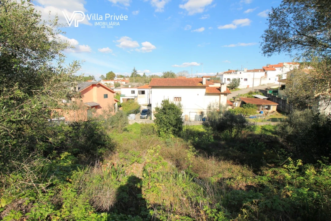 Terreno para Venda em Condeixa-A-Velha e Condeixa-A-Nova Foto 1