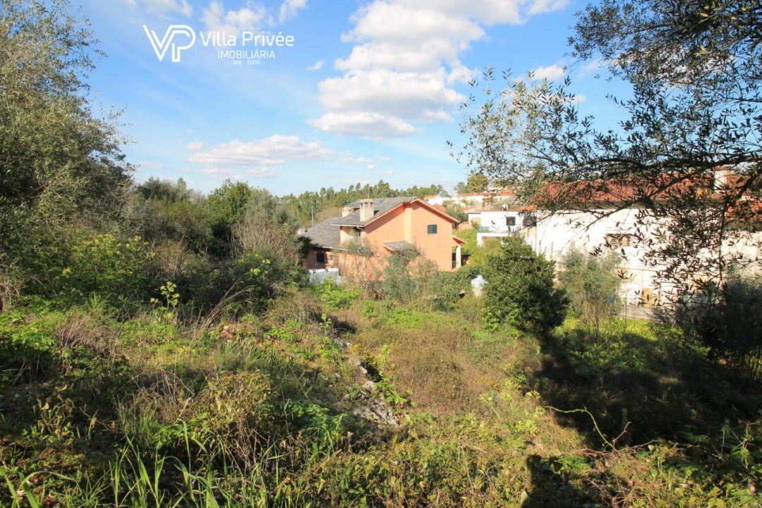 Terreno para Venda em Condeixa-A-Velha e Condeixa-A-Nova Foto 2
