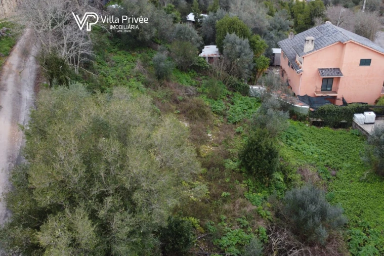 Terreno para Venda em Condeixa-A-Velha e Condeixa-A-Nova Foto 3
