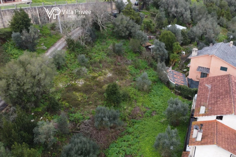 Terreno para Venda em Condeixa-A-Velha e Condeixa-A-Nova Foto 4
