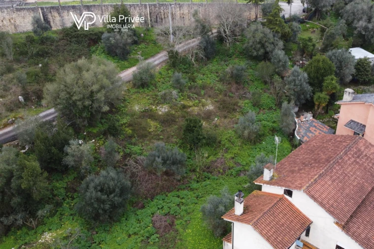 Terreno para Venda em Condeixa-A-Velha e Condeixa-A-Nova Foto 5