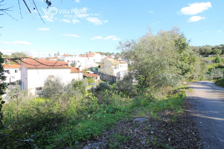 Terreno para Venda em Condeixa-A-Velha e Condeixa-A-Nova Foto 4