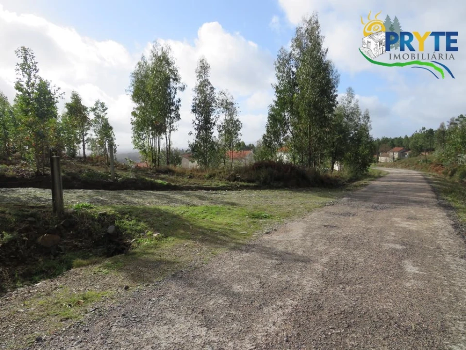 Terreno para Venda em Sertã Foto 4