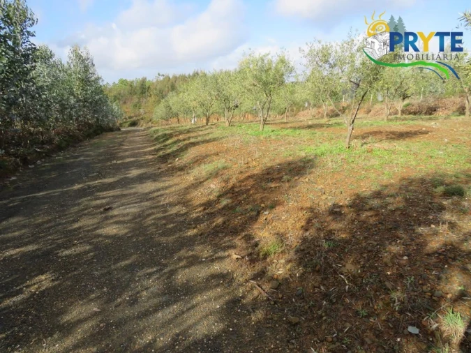 Terreno para Venda em Sertã Foto 5