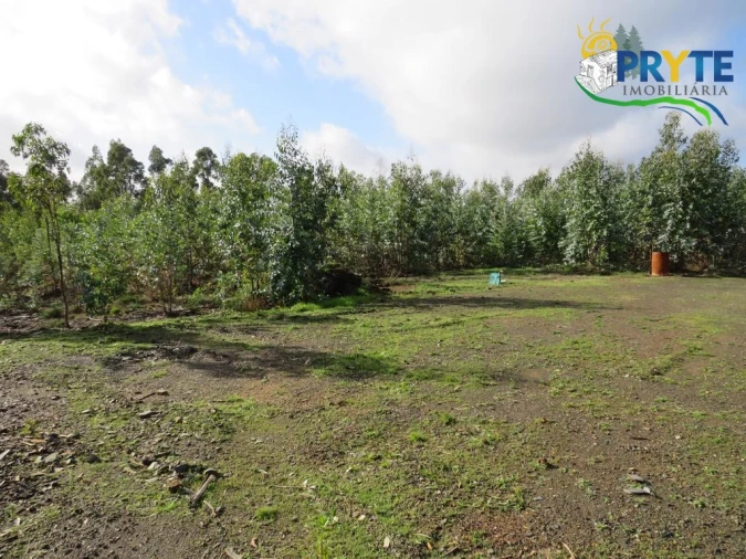 Terreno para Venda em Sertã Foto 7