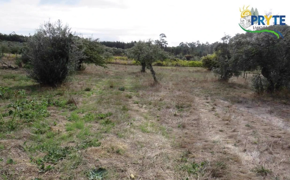 Terreno para Venda em Cabeçudo Foto 2