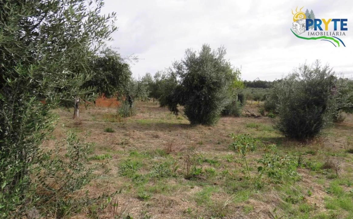 Terreno para Venda em Cabeçudo Foto 3