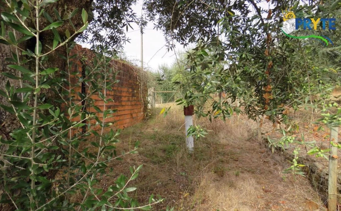 Terreno para Venda em Cabeçudo Foto 7