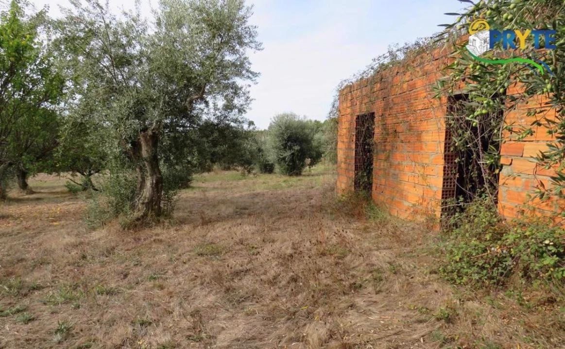 Terreno para Venda em Cabeçudo Foto 8