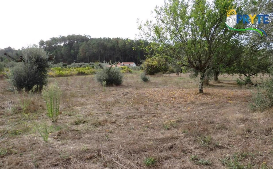 Terreno para Venda em Cabeçudo Foto 9