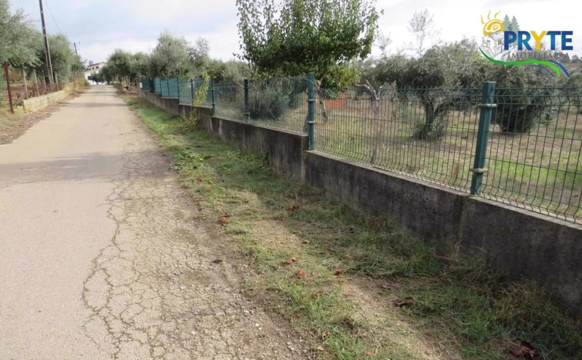 Terreno para Venda em Cabeçudo Foto 11