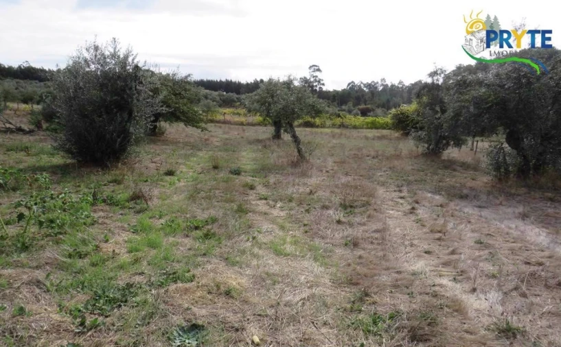 Terreno para Venda em Cabeçudo Foto 2