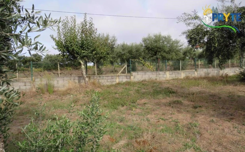 Terreno para Venda em Cabeçudo Foto 4