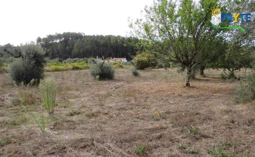 Terreno para Venda em Cabeçudo Foto 9