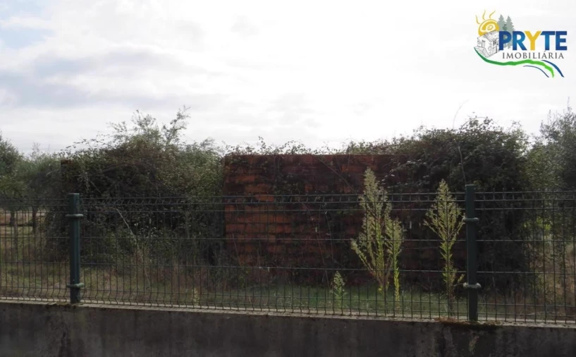 Terreno para Venda em Cabeçudo Foto 13