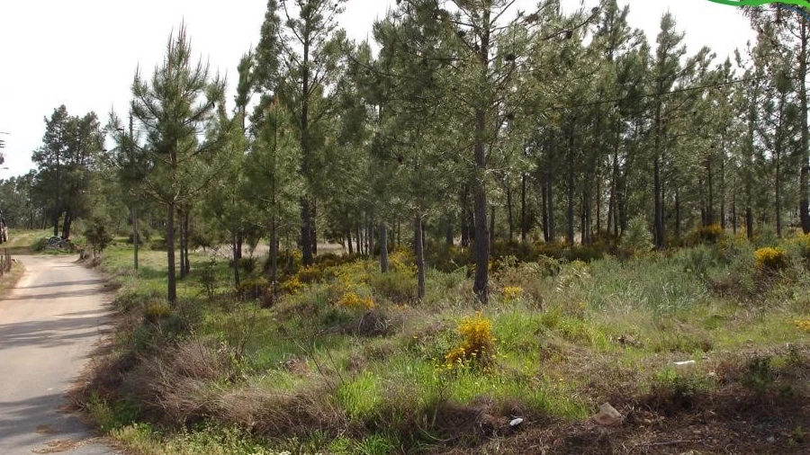 Terreno para Venda em Envendos