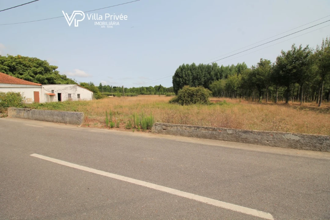 Terreno para Venda em Bustos, Troviscal e Mamarrosa Foto 3