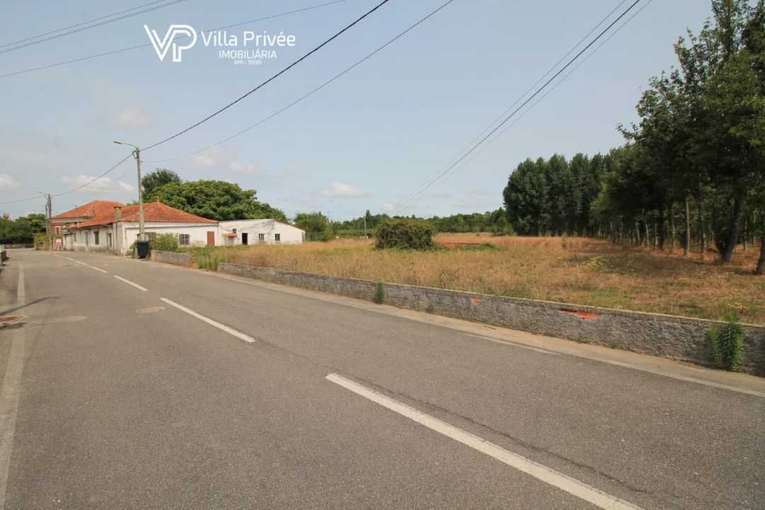 Terreno para Venda em Bustos, Troviscal e Mamarrosa Foto 4