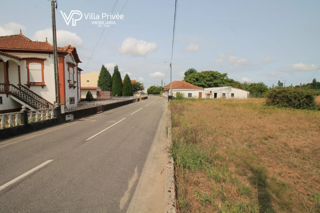 Terreno para Venda em Bustos, Troviscal e Mamarrosa Foto 6