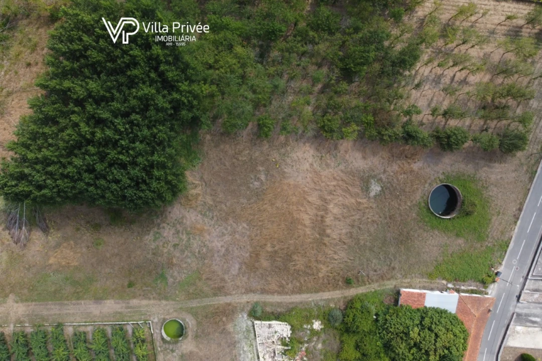 Terreno para Venda em Bustos, Troviscal e Mamarrosa Foto 8