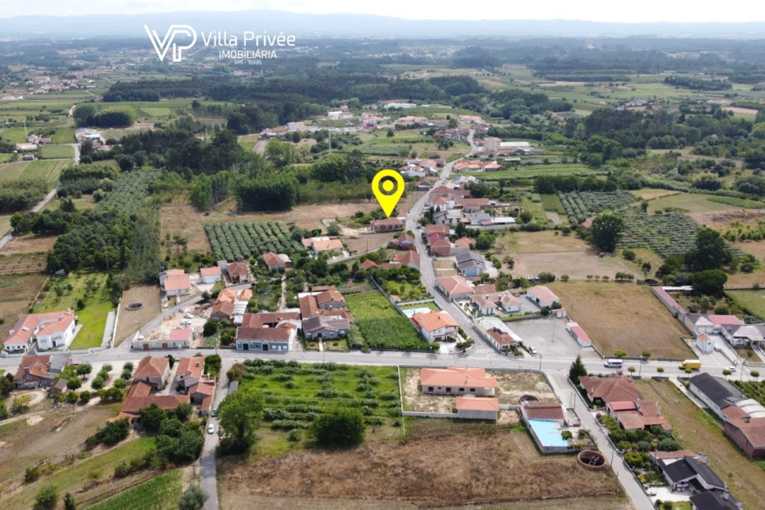 Terreno para Venda em Bustos, Troviscal e Mamarrosa Foto 10