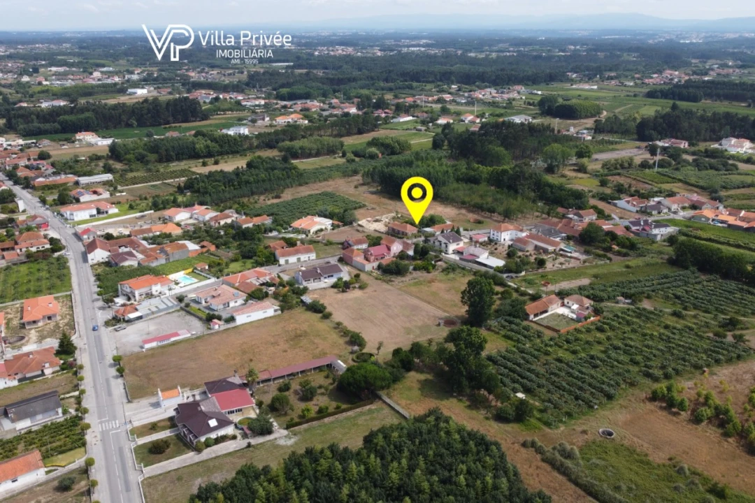Terreno para Venda em Bustos, Troviscal e Mamarrosa Foto 12
