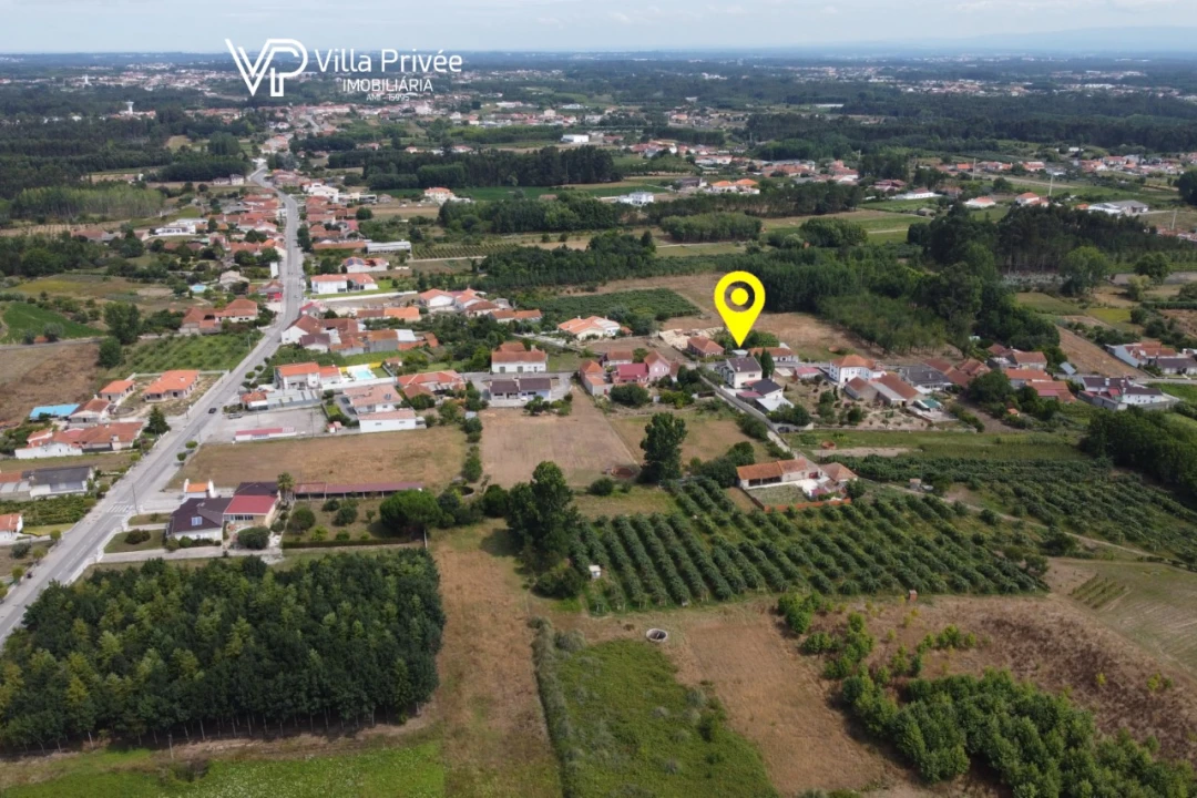 Terreno para Venda em Bustos, Troviscal e Mamarrosa Foto 13