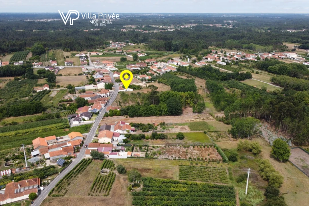 Terreno para Venda em Bustos, Troviscal e Mamarrosa Foto 19