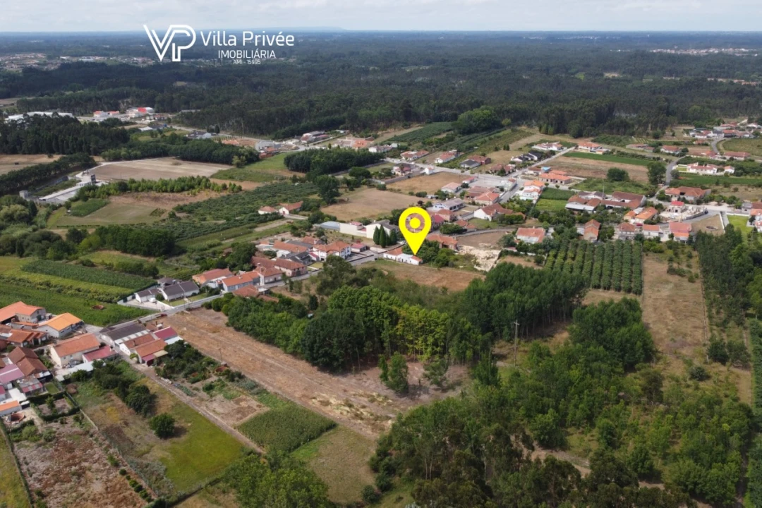 Terreno para Venda em Bustos, Troviscal e Mamarrosa Foto 21