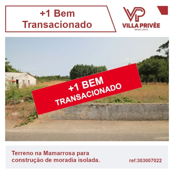 Terreno para Venda em Bustos, Troviscal e Mamarrosa Foto 1