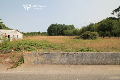 Terreno para Venda em Bustos, Troviscal e Mamarrosa