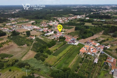 Terreno para Venda em Bustos, Troviscal e Mamarrosa