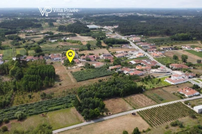 Terreno para Venda em Bustos, Troviscal e Mamarrosa