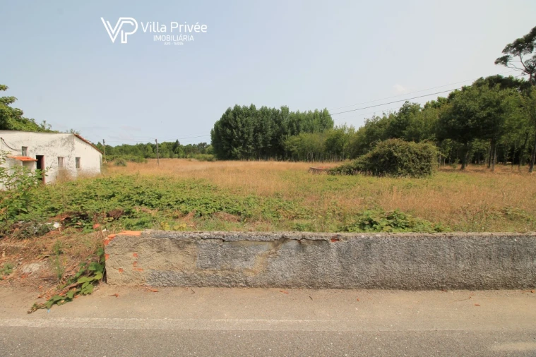 Terreno para Venda em Bustos, Troviscal e Mamarrosa Foto 2