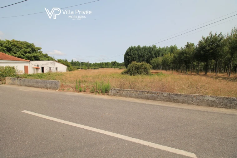 Terreno para Venda em Bustos, Troviscal e Mamarrosa Foto 3