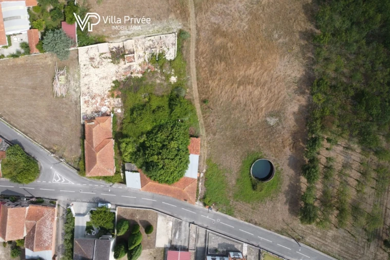 Terreno para Venda em Bustos, Troviscal e Mamarrosa Foto 9