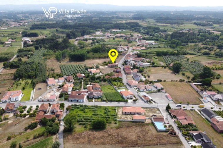 Terreno para Venda em Bustos, Troviscal e Mamarrosa Foto 10
