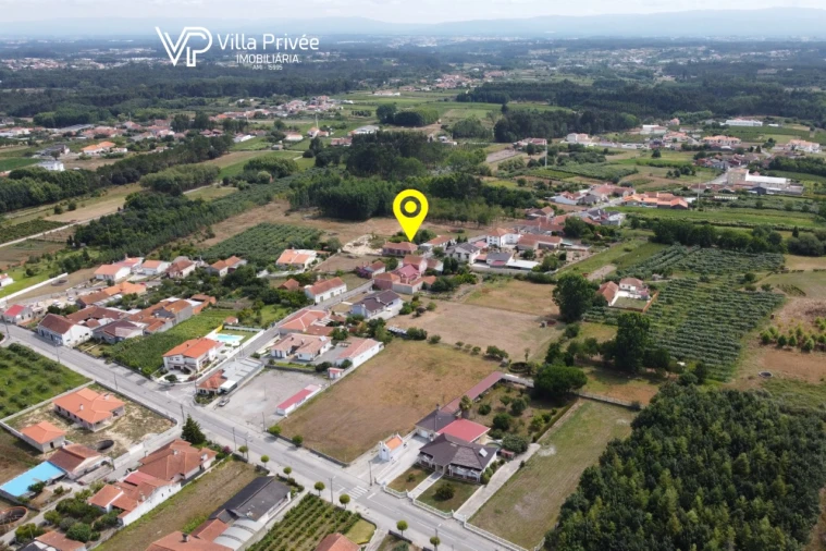Terreno para Venda em Bustos, Troviscal e Mamarrosa Foto 11